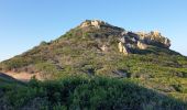 Trail Walking Ajaccio - Les iles Sanguinaires. Corse - Photo 10