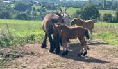 Tour  Nandrin - Villers 3 - Photo 5