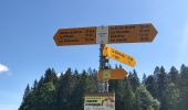 Percorso A piedi La Chaux-de-Fonds - La Chaux-de-Fonds - Saut du Doubs - Photo 5