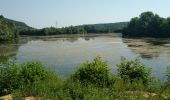 Randonnée Marche Osselle-Routelle - Osselle sablière - Photo 9