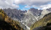 Excursión A pie Forni di Sopra - IT-366 - Photo 5