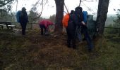 Trail Walking Arbonne-la-Forêt - Les grands feuillards - Photo 2