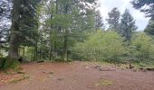 Excursión Senderismo Le Valtin - VOSGES 2023 - Sentier des Roches - Photo 12