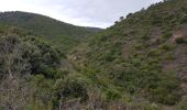 Trail Walking Roquebrune-sur-Argens - LES ISSAMBRES - LE VALLON DE LA GAILLARDE - Photo 20