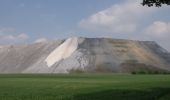 Tour Zu Fuß Landesbergen - 2 Naturpark Rundweg - Photo 6