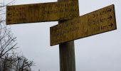 Trail Walking Charette - Cascade de la Roche - Photo 4