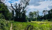 Tour Wandern Hoegaarden - Le bois de Meldert et son château à Hoegaarden - Photo 1