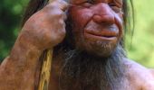 Tour Zu Fuß Erkrath - Neandertal Rundweg A2 - Photo 7