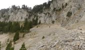 Trail Walking Romeyer - Col des Bachassons depuis Romeyer - Photo 17