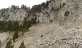 Tour Wandern Romeyer - Col des Bachassons depuis Romeyer - Photo 17