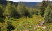 Trail Walking Grandfontaine - Positions fortifiées du Donon sentier des casemates - sud - Photo 14