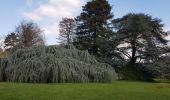 Percorso Marcia Parigi - Coulée verte de Paris à l arboretum de Châtenay-Malabry  - Photo 3