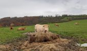 Randonnée Marche Hamoir - comblain la tour - Photo 17