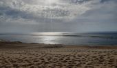 Randonnée Marche La Teste-de-Buch - arcachon dune de pyla  - Photo 3