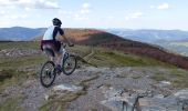 Trail Mountain bike Mittlach - Col du Platzerwasel-Markstein - Photo 2