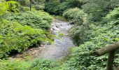 Tour Wandern Armeno - 20.06.2023 - Armeno - L'arrière pays du Lac d'Orta - 1 - Photo 19