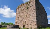 Percorso Marcia Labaroche - Autour du château du Petit Hohnack - Photo 7