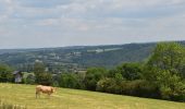 Tour Wandern Pepinster - 20230612 - Cornesse 5.9 Km - Photo 5