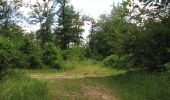 Trail Walking Rethondes - en forêt de Laigue_8_06_2020_les Routes des Bonshommes, de la Trouée des Bonhommes_Route forestière de Sainte-Croix - Photo 7