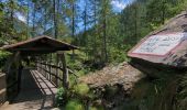 Trail Walking Alagna Valsesia - Alvania - Alpe Maller - Photo 5