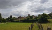 Tocht Stappen Delincourt - Delincourt, Le Mesnil, Reilly, La vierge, Delincourt - Photo 19