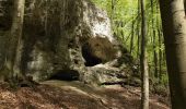 Tour Zu Fuß Neukirchen bei Sulzbach-Rosenberg - Rundwanderweg No.6 Neukirchen - Photo 4