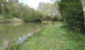 Tocht Stappen Allennes-les-Marais - Allennes les Marais Les étangs de Don - Photo 1