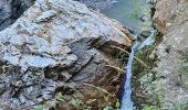 Randonnée Marche Les Houches - J6 - Gorges de la Diosaz - Photo 6