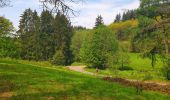 Tocht Stappen Gedinne - Balade à Gedinne - Photo 20