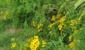Tocht Stappen Delincourt - Delincourt, Le Mesnil, Reilly, La vierge, Delincourt - Photo 13
