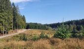 Tocht Stappen Florenville - rando les epioux 15/09/2020 - Photo 1