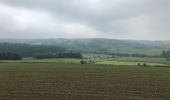 Trail Walking Theux - Découverte de Hodboumont, Jevoumont près de Theux - Photo 2