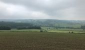 Tocht Stappen Theux - Découverte de Hodboumont, Jevoumont près de Theux - Photo 2