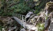 Tocht Stappen Le Valtin - Col de la Schlucht - sentier des Roches - Petit Honneck - Honneck - Trois Fours - Photo 14