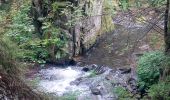 Trail Walking Gérardmer - autour de gérardmer  - Photo 1