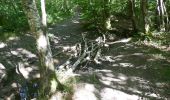 Trail Walking Saissac - le lampy - Photo 4