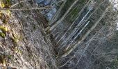 Trail Walking Rencurel - Pas de Pertuson et falaise de Méaudre - Photo 8