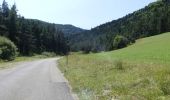 Trail Walking Châtillon-en-Diois - La Montagnette par le Pas de la Plane (Combau) - Photo 8