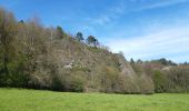 Tour Wandern Comblain-au-Pont - pont de sçay . oneux . comblain-au-pont . tour st Martin . roches noires . pic Napoléon.  pont sçay  - Photo 9