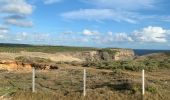 Tocht Trail Anse-Bertrand - Porte d’enfer le littoral  - Photo 12