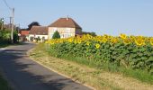Percorso Bici da strada Paron - 090 SO60 Domats # Montacher-Villegardin-01 - Photo 2