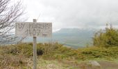 Randonnée Marche Besse-et-Saint-Anastaise - Boucle lac Pavin Puy de Montchal - Photo 2