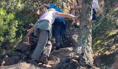 Excursión Senderismo Roquebrune-sur-Argens - Rocher Roquebrune  - Photo 1