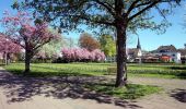 Randonnée A pied Leichlingen - Leichlingen Stadtpark Rundweg A1 - Photo 6