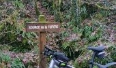 Trail Mountain bike Rolampont - Source de la Tuffiere - Photo 3