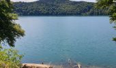 Trail Walking Besse-et-Saint-Anastaise - Le tour du Lac Pavin et montée au Puy Montchal - Photo 6