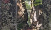 Trail Walking Plancher-les-Mines - PLANCHE DES BELLES FILLES - Photo 4