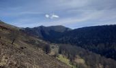Trail Walking Baren - Mail de la Pique depuis Baren - Photo 5