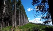 Tour Zu Fuß Deux-Grosnes - Mont Saint-Rigaud (14 km - D. 447 m) - Photo 2