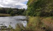 Tour Wandern Herbeumont - Les Epioux - Photo 3